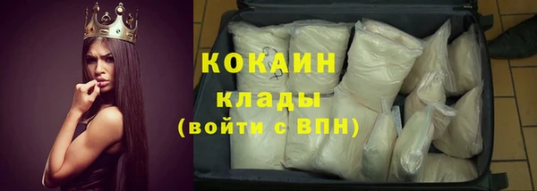молекула духа Гусев