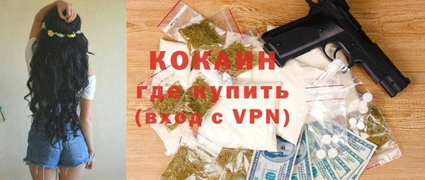 молекула духа Гусев
