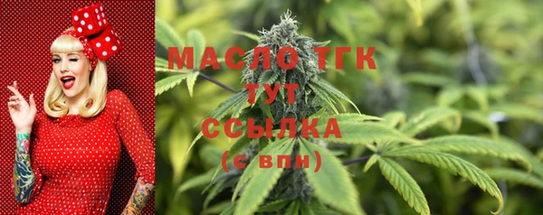 молекула духа Гусев