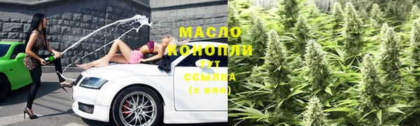 молекула духа Гусев