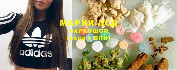 молекула духа Гусев