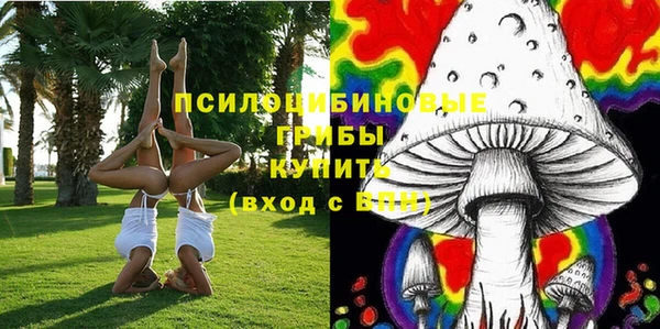 прущая мука Гусь-Хрустальный