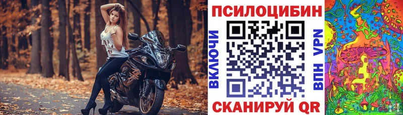 цена наркотик  Дзержинск  Галлюциногенные грибы GOLDEN TEACHER 